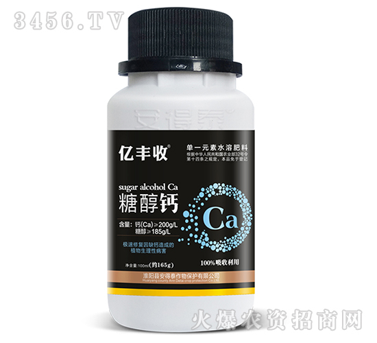 �Ǵ��}-�|�S��-����̩