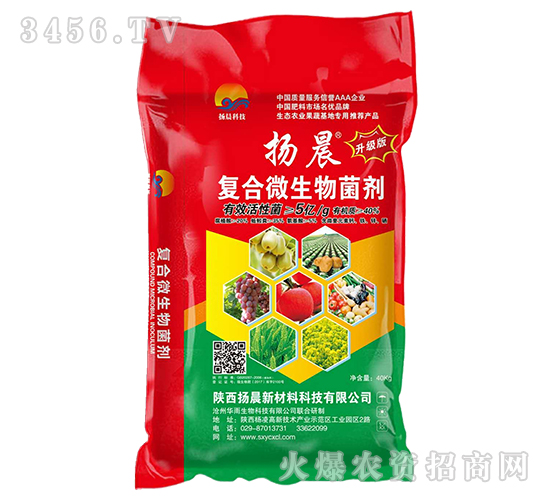 �ͺ�΢�������-�P��