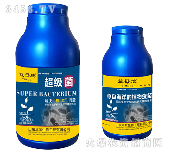 ����(j��)��-��ĸ��-׿������