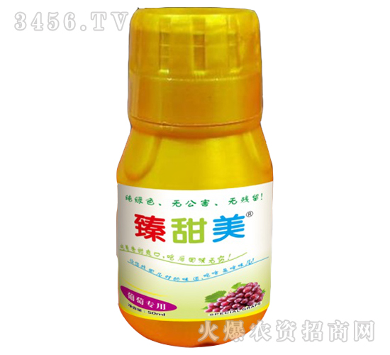 �����������ь���-��-ʢ����