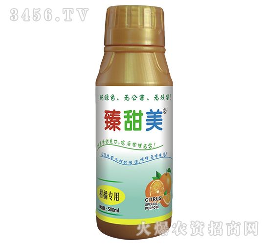 ���������۳Ȍ��ã�-ʢ����