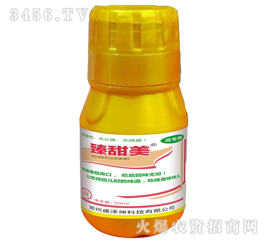 ���������ό��ã�-ʢ����