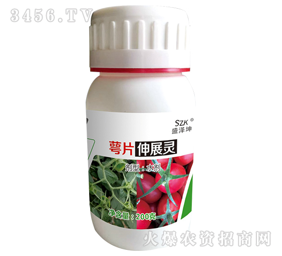 ��Ƭ��չ�`-ʢ����