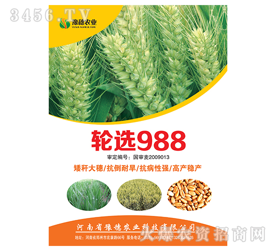 ݆�x988-С���N��-ԥ���r(n��ng)�I(y��)