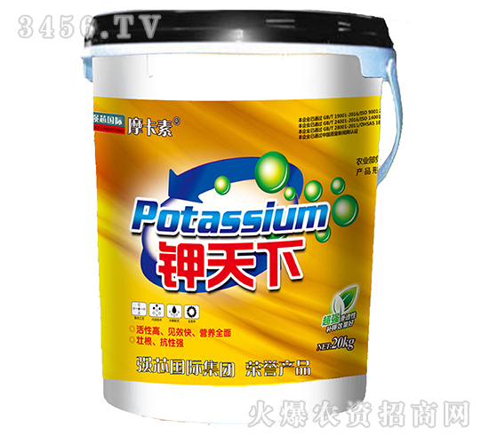 ����������-�����-Ħ����