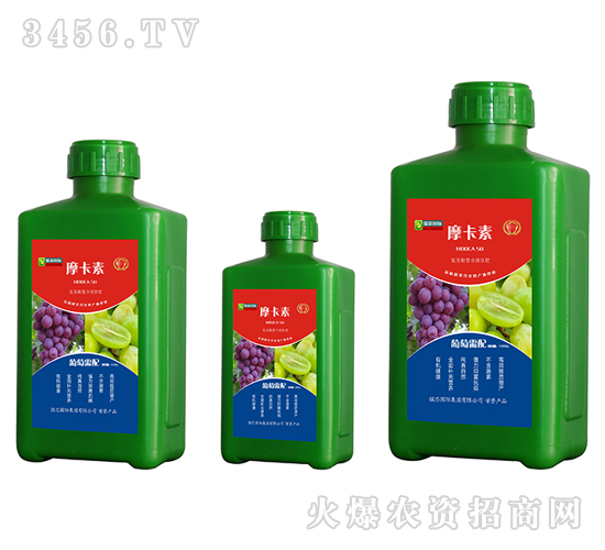 ���ь��ð���������Һ�ķ�-Ħ����-��о