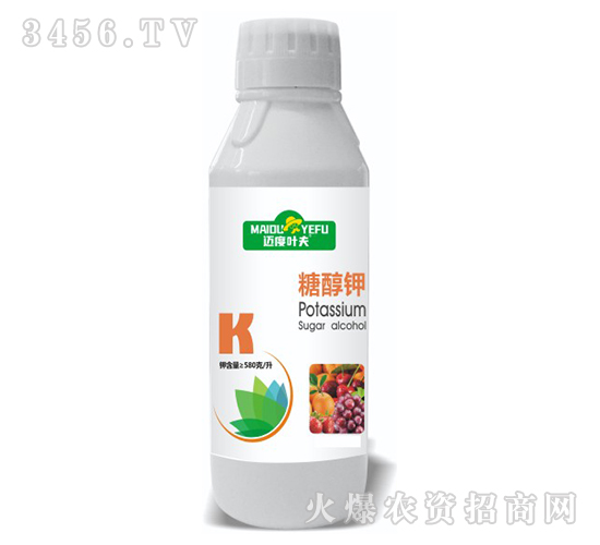 �Ǵ��-�~���~��