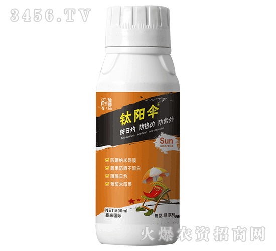 �ꖂ�-�n�{�R-̩����H