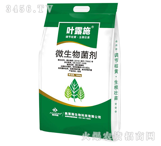 ΢�������-�~¶ʩ-�W�R˹