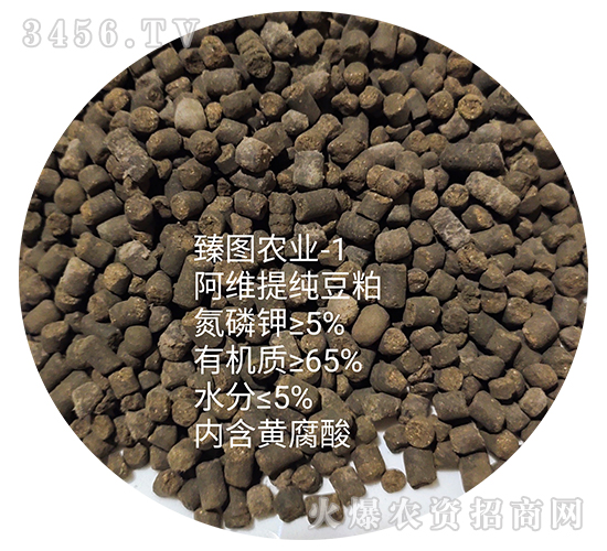 ���S�ἃ����-ʩ����