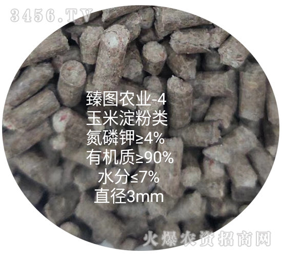 ���׵����-ʩ����