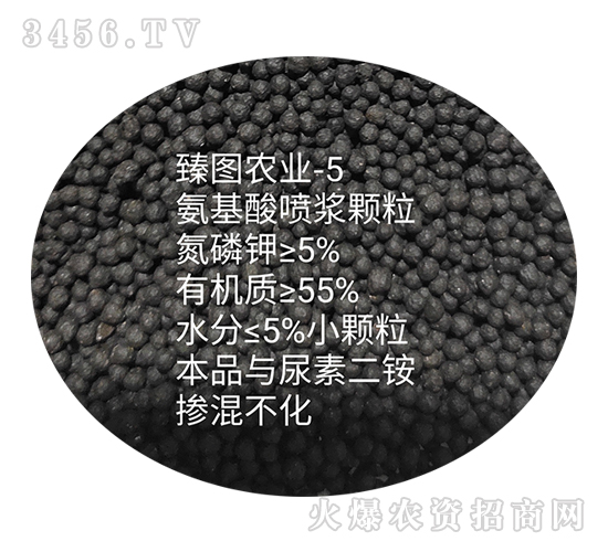 �����ᇊ�{�w��-ʩ����