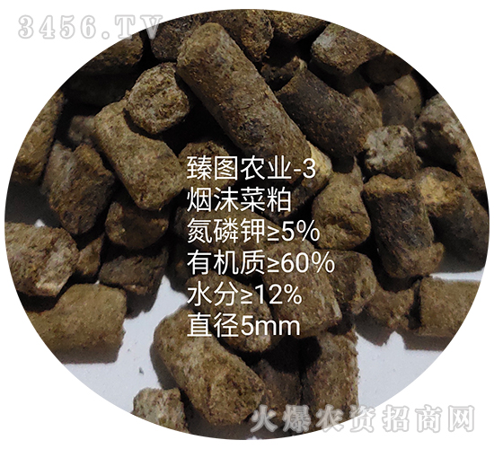 ��ĭ����-ʩ����