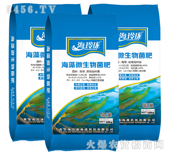 ����΢�������-���ᭇ