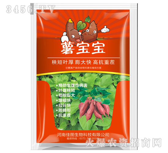 �팚��-�ÌW(xu��)��