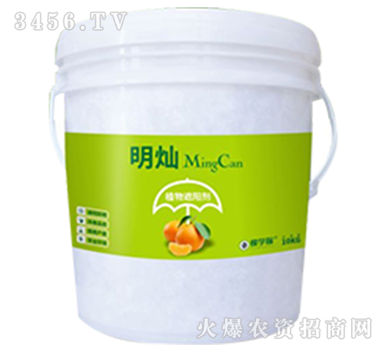 ֲ����ꖄ�-���N-�ÌW��