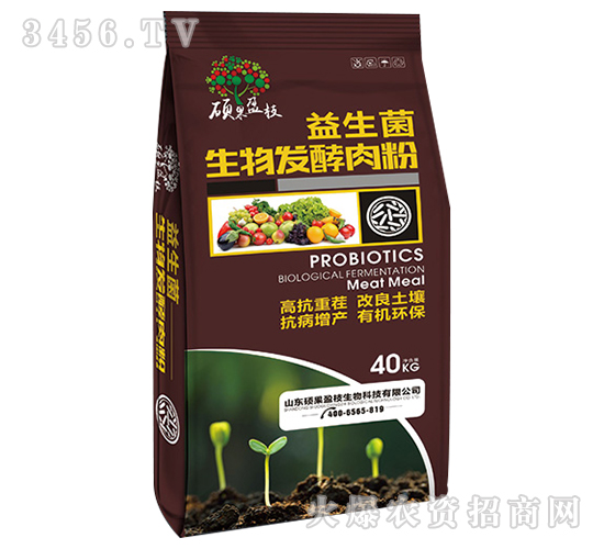 ����������l(f��)�����-�T��ӯ֦