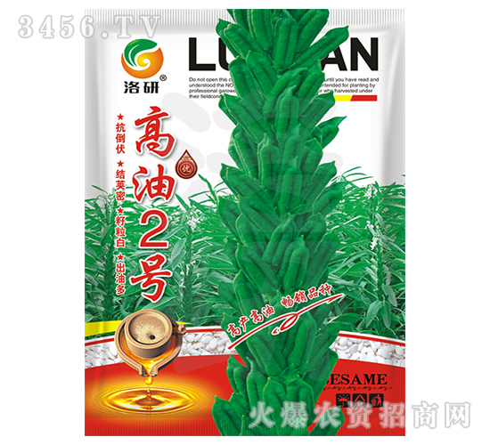 ֥��N��-����2̖(h��o)-����