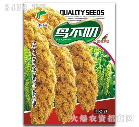 ���ӷN��-�B����-����