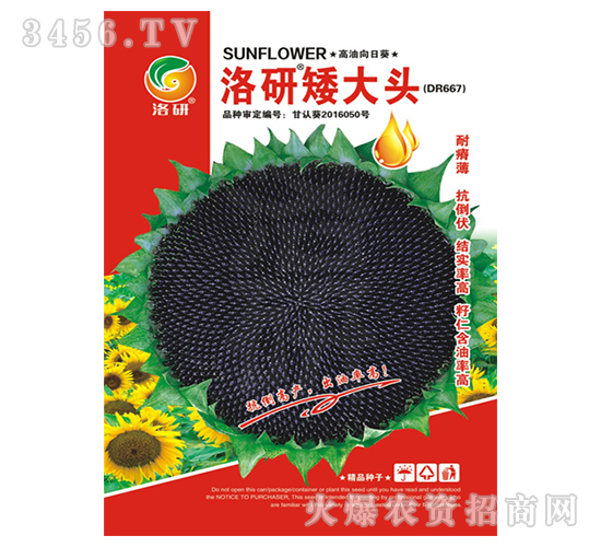 ���տ��N��-���а����^����Ʒ��-����