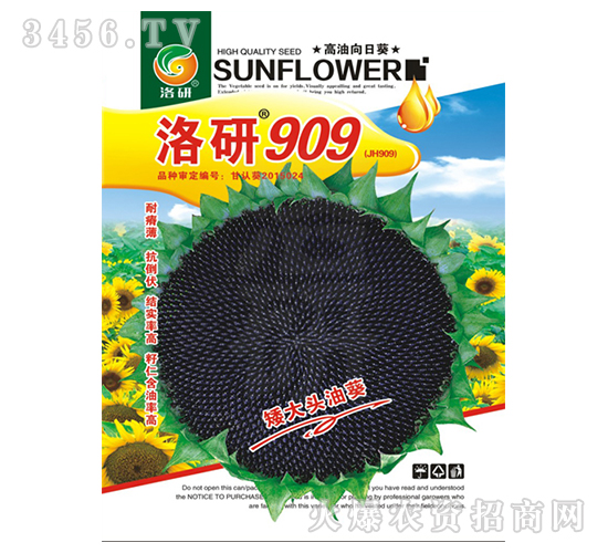 ���տ��N��-����909-����