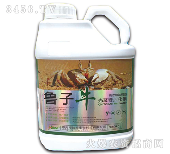 �����ǻ��-����ţ-�����S