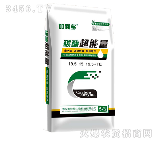 ̼ø������-������-�����S