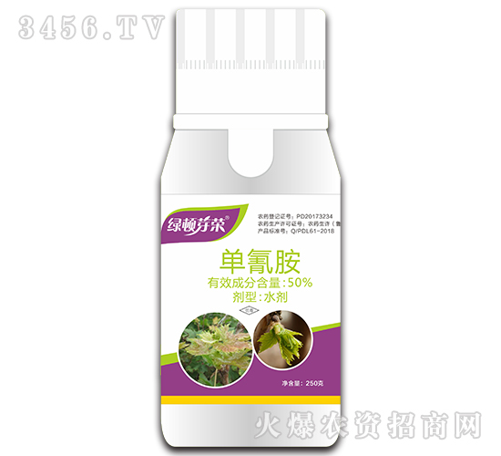 ���谷-�G�Dѿ�s-�G�D����