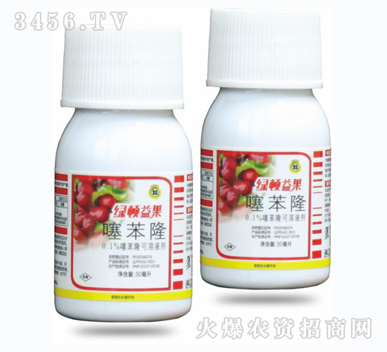 �籽¡-�G�D������󗗌��ã�-�G�D����