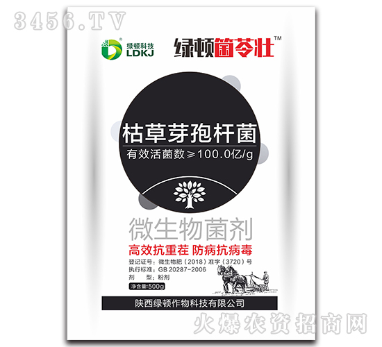 �ݲ�ѿ�ߗU��-�G�D���߉�-�G�D����