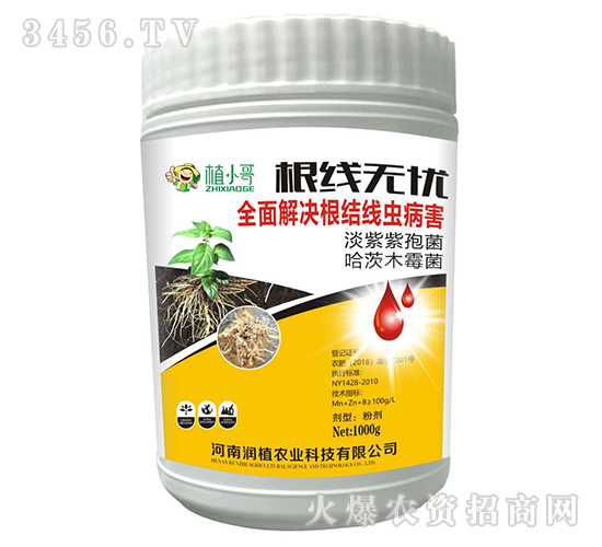 �����o�n-��ֲ