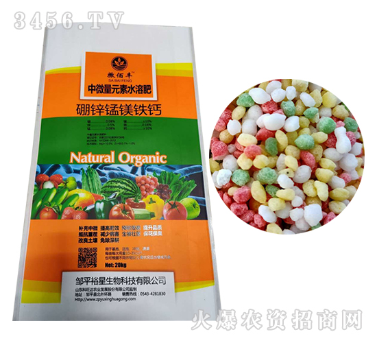 ���\�}�V�F�}-�����S-ԣ�ǻ���