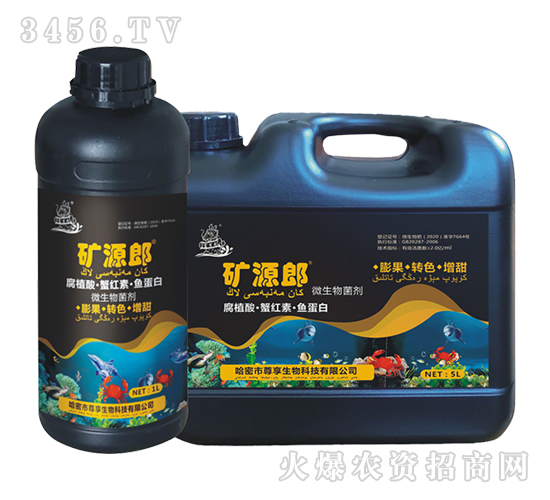 ��ֲ�ᡤз�t�ء��~����-�VԴ��-��������