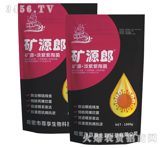 �VԴ���������߾�-�VԴ��-��������