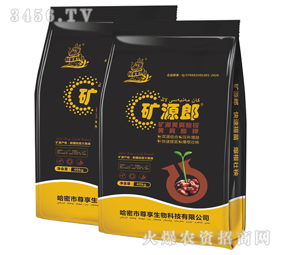 �VԴ�S�����@�S�����-�VԴ��-��������