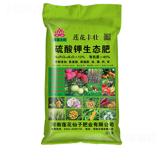 ��������B(t��i)��-ɏ�����S-ɏ������