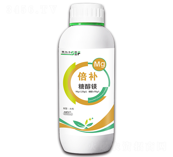 ���a���Ǵ��V��-ِ���S-ِ�S����