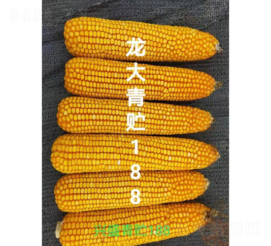 �������A188-���׷N��-����N�I(y��)