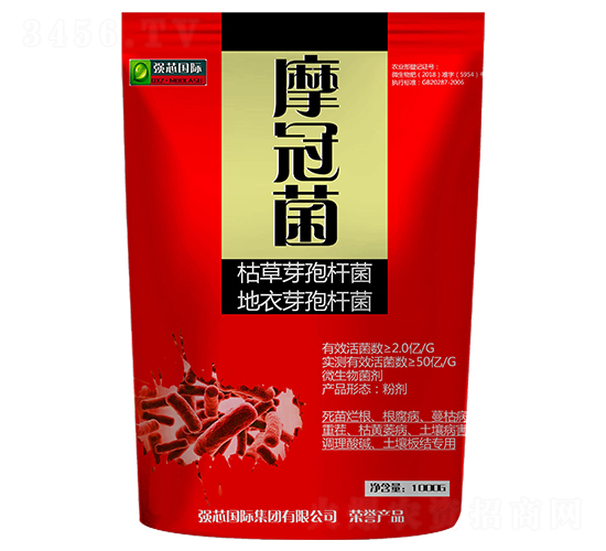 ΢�������-Ħ�ھ�-��(qi��ng)о��(gu��)�H