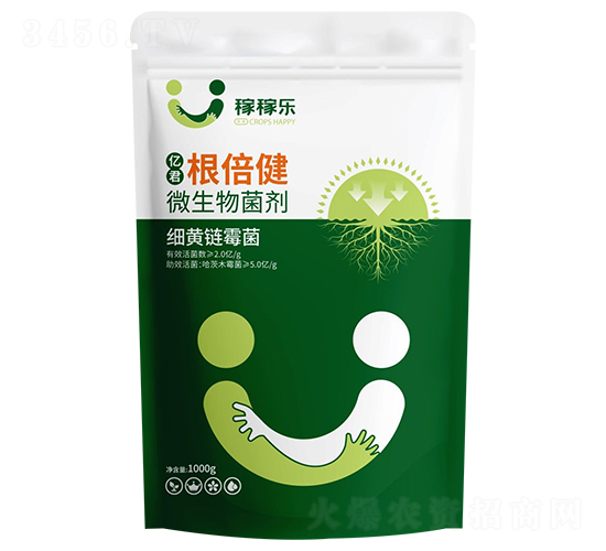 ΢�������-�|��������-�ڼژ�