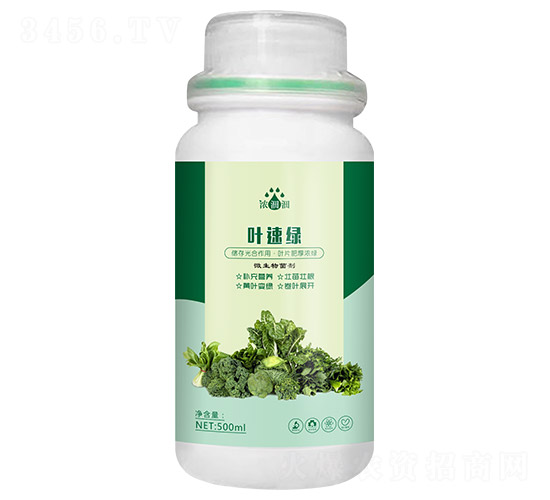 �~�پG��΢���������-��p�p-�������