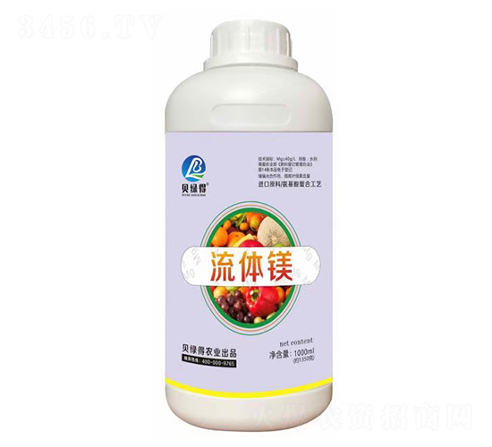 ���w�V-ؐ�G��