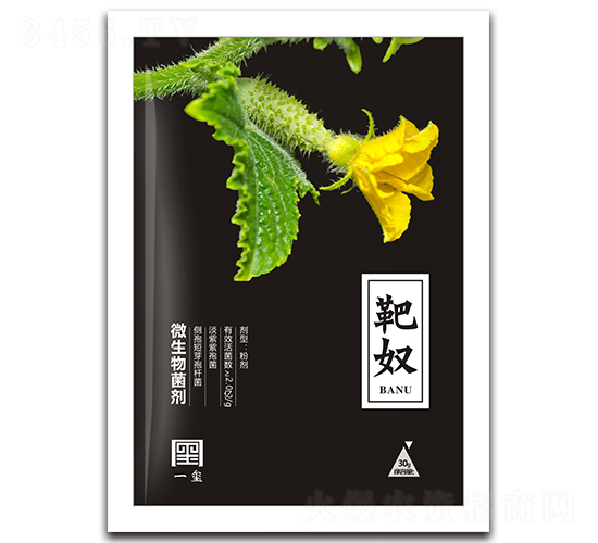 ΢�������-��ū-һ�t