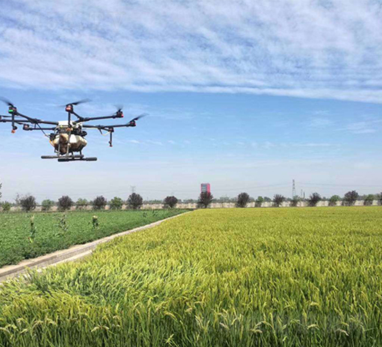 ˼��������Ĕz