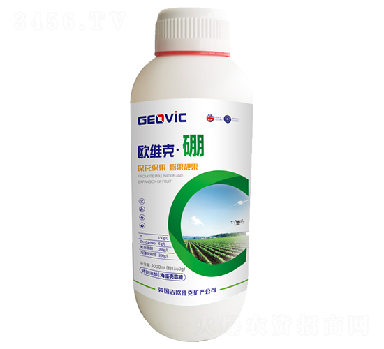 �W�S�ˡ���-�A�˱���