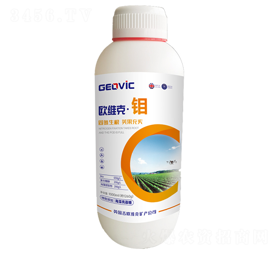 �W�S�ˡ��f-�A�˱���