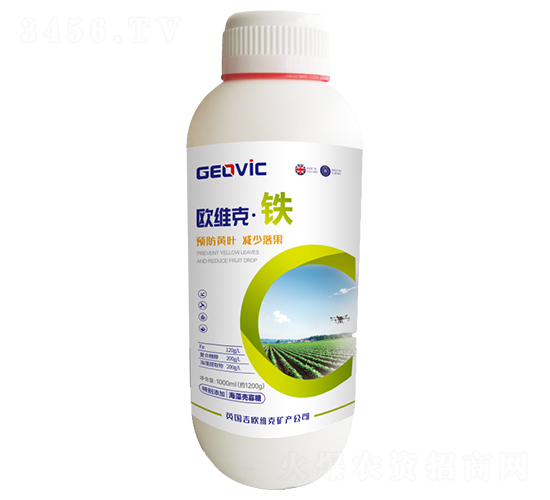 �W�S�ˡ��F-�A�˱���