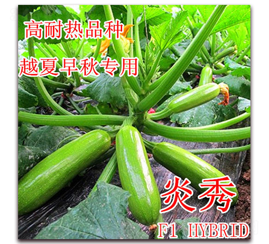 ����-�����J�N��-��ʢ�r(n��ng)�I(y��)