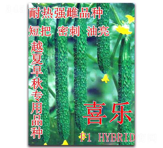 ϲ��-�S�ϷN��-��ʢ�r(n��ng)�I(y��)