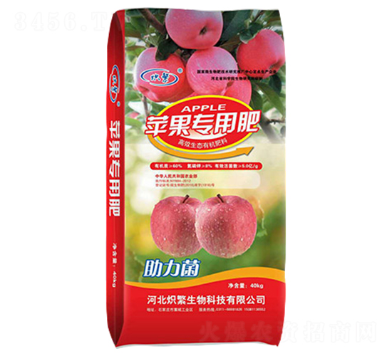 �O�����÷�-�뷱����